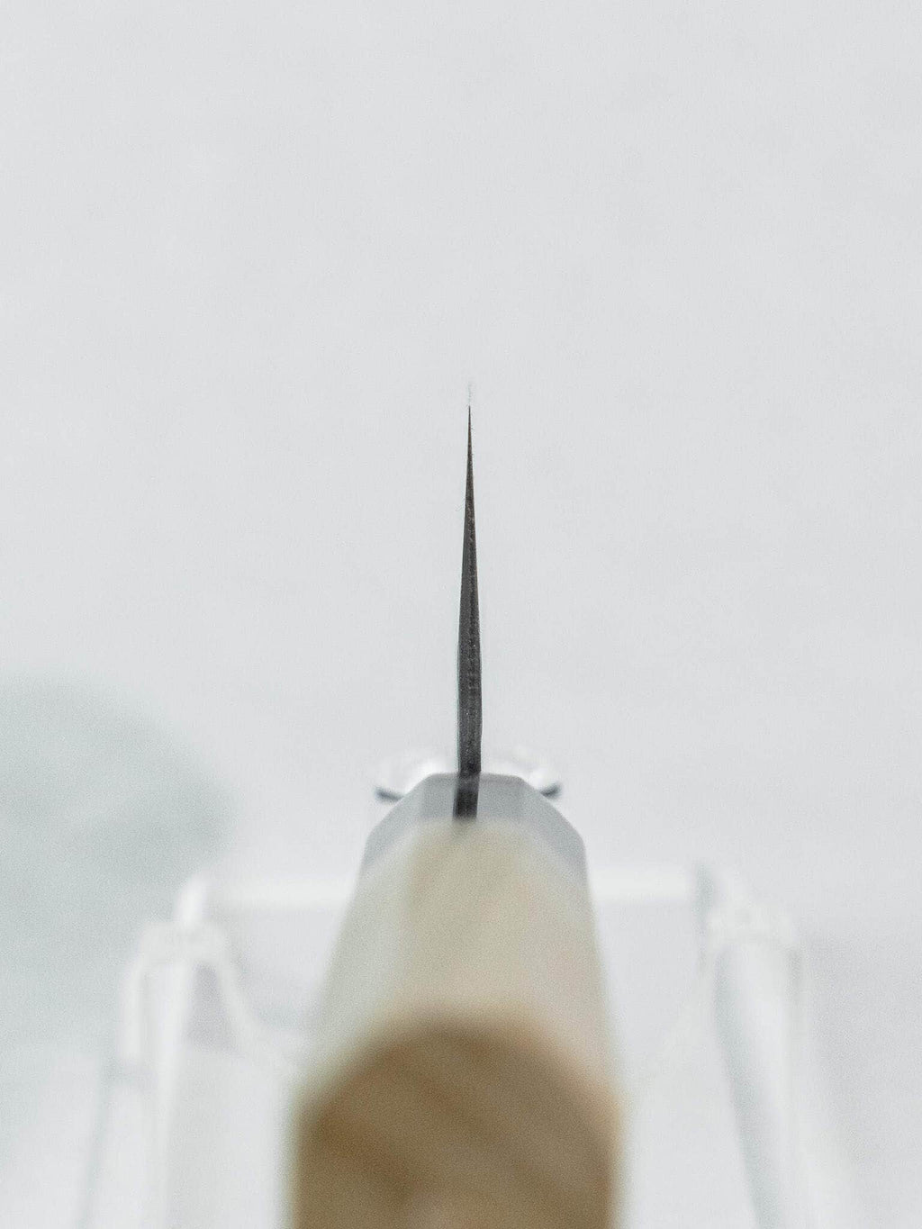 Choil shot showing grind and thin cutting edge geometry