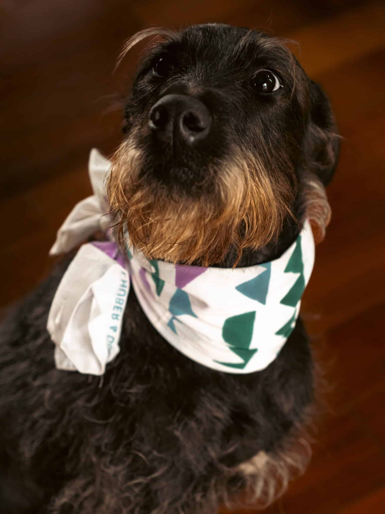 ONDA Tenugui // HADO Work by Hands // Japanese 100% Cotton Hand Towel