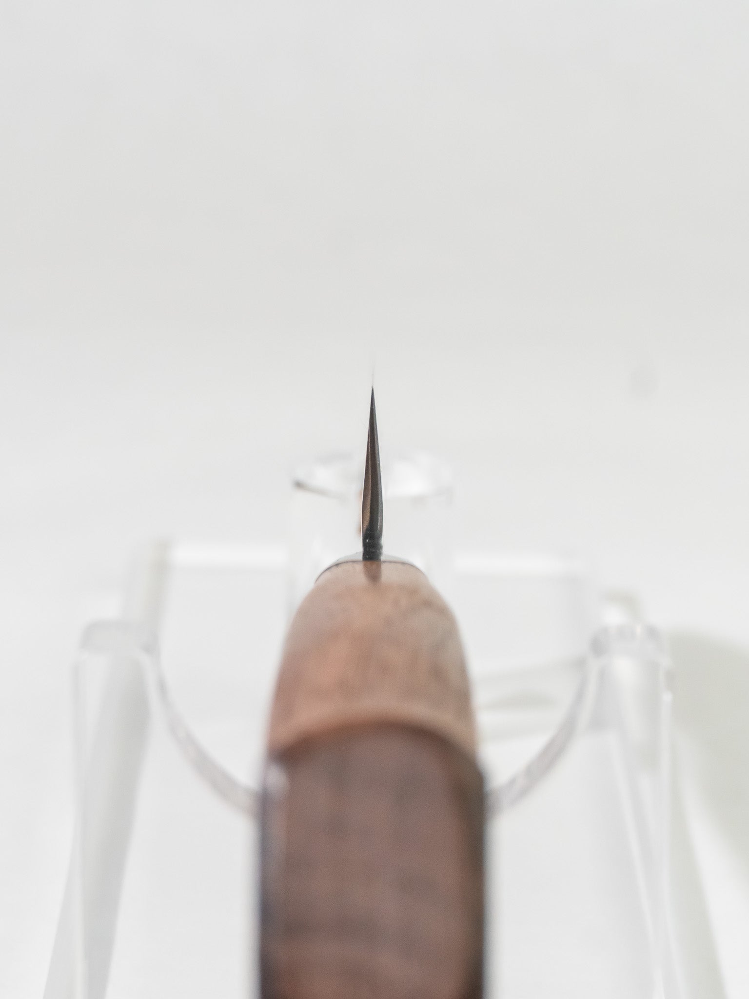 Detail of polished spine showing fit and finish on OUL petty knife.
