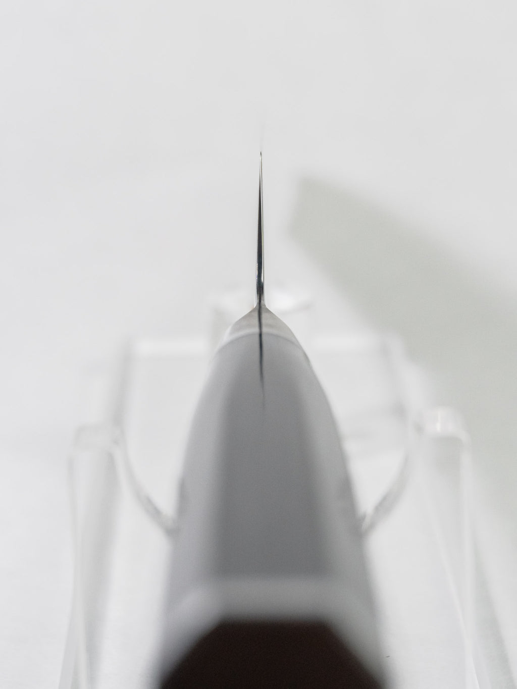 Choil view showing thin grind and cutting geometry on the Sakai Takayuki sujihiki